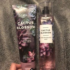 Bath and body works Fragrance mist and Body cream.